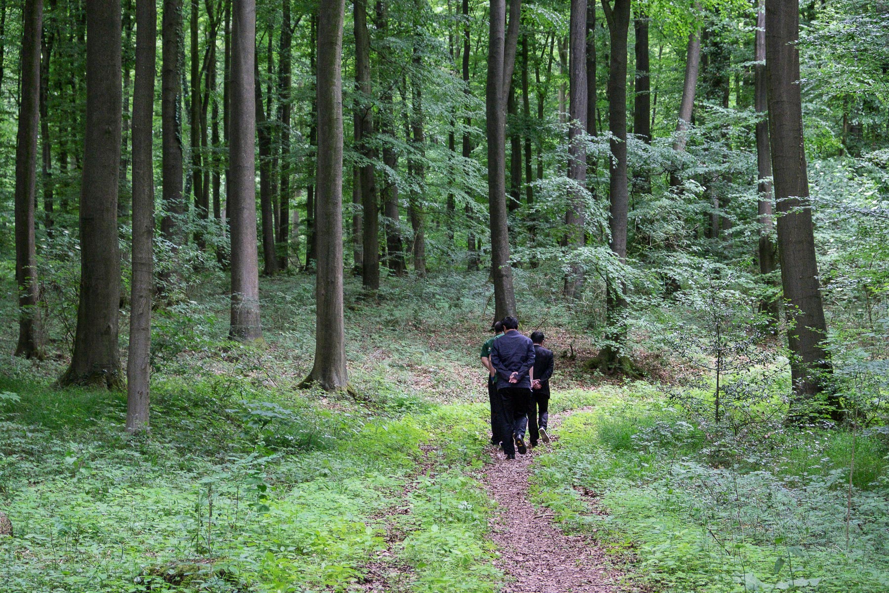 Projekt 16 - 17 Chinesen und ein Deutscher Wald