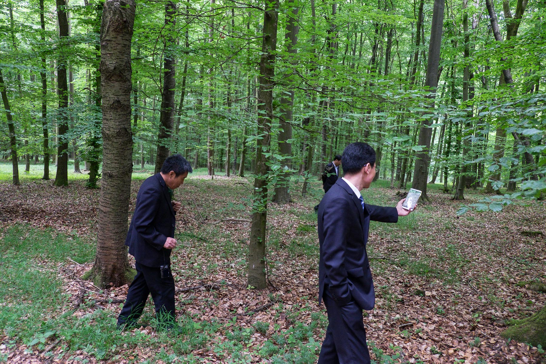 Projekt 16 - 17 Chinesen und ein Deutscher Wald