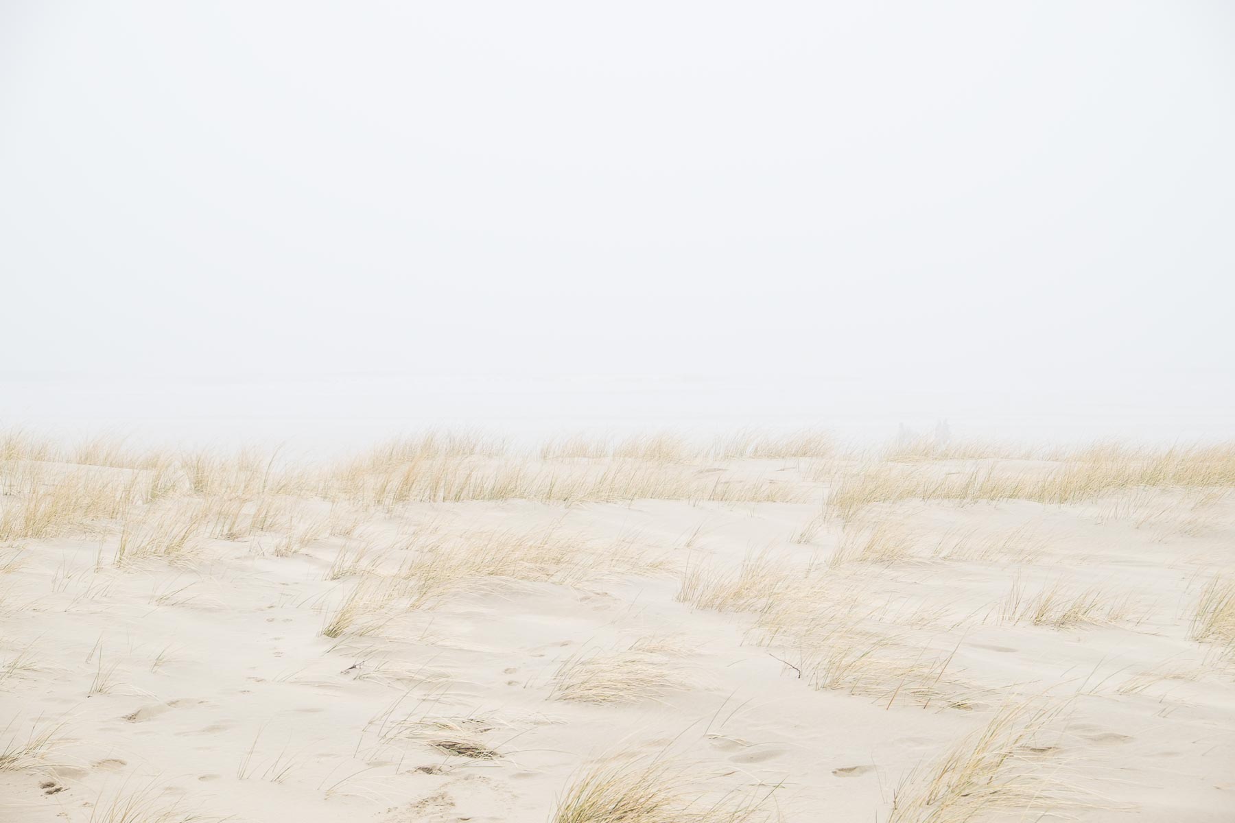 16.02.2015 - Nebel in Egmond aan Zee - Niederlande