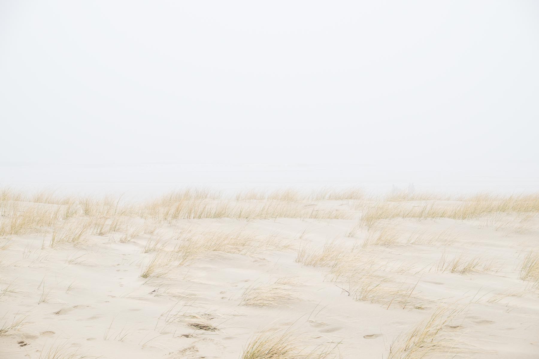 16.02.2015 - Nebel in Egmond aan Zee - Niederlande