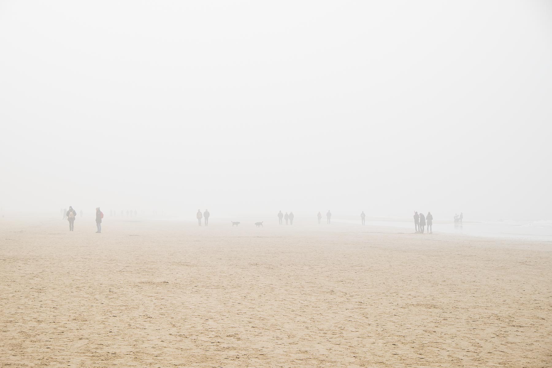 16.02.2015 - Nebel in Egmond aan Zee - Niederlande