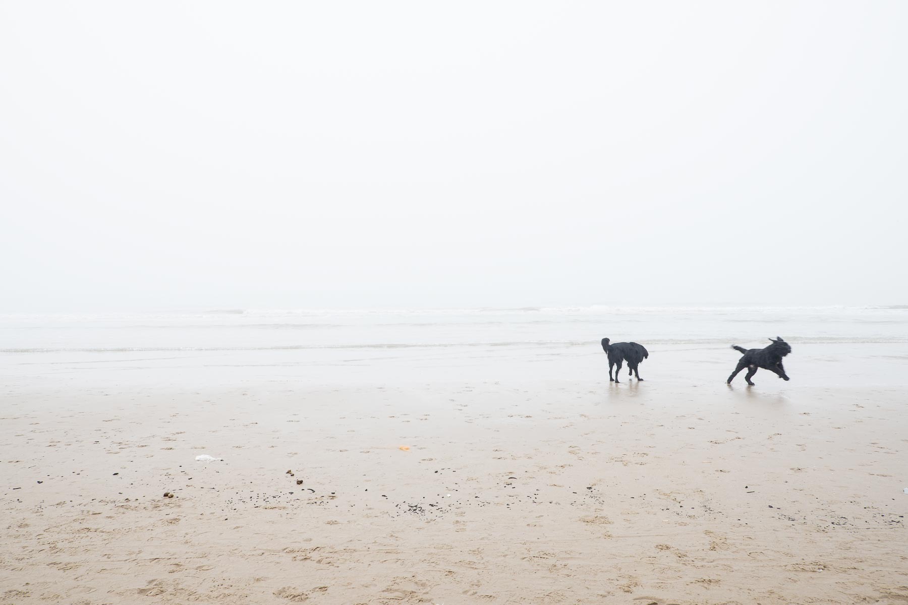 16.02.2015 - Nebel in Egmond aan Zee - Niederlande