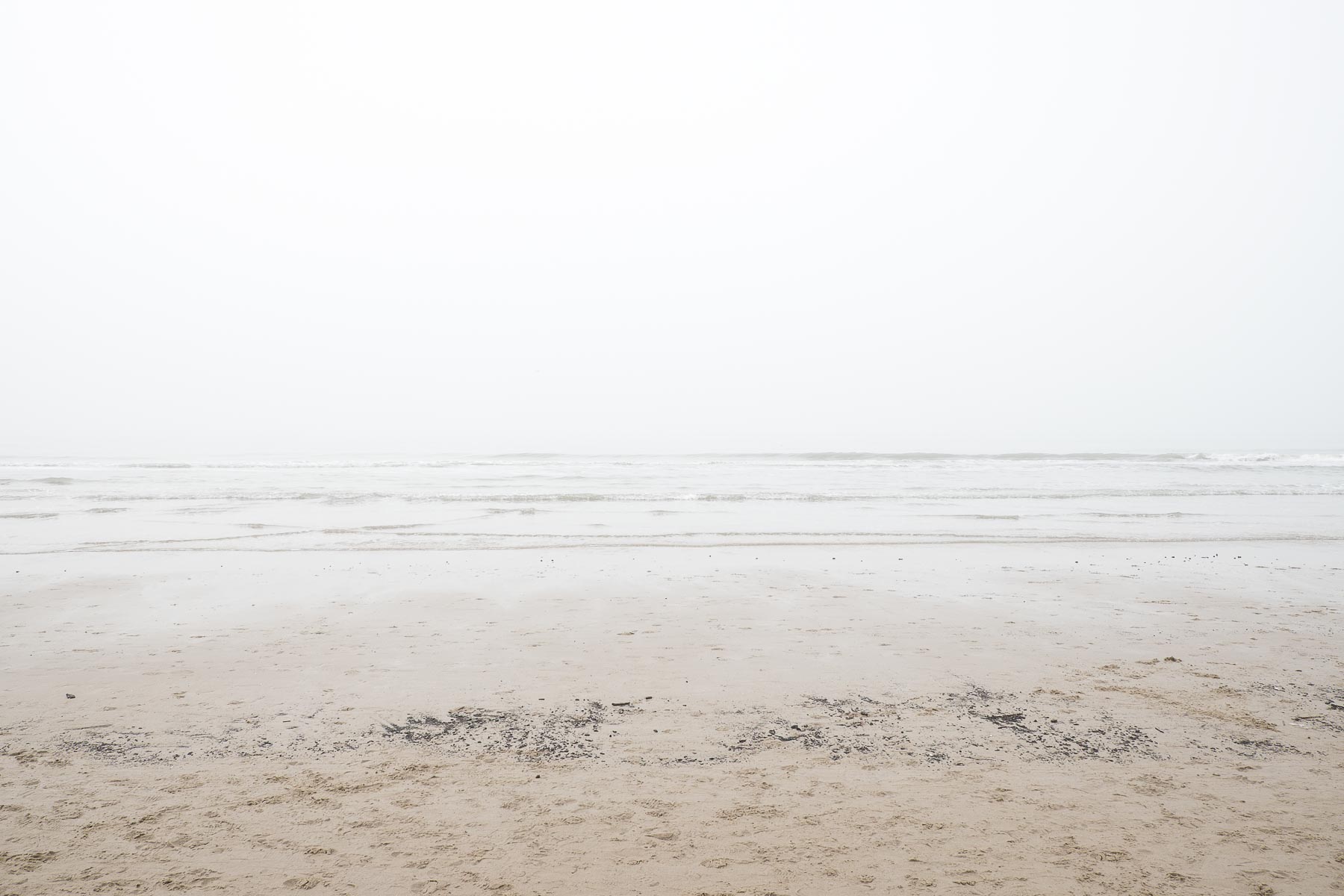 16.02.2015 - Nebel in Egmond aan Zee - Niederlande