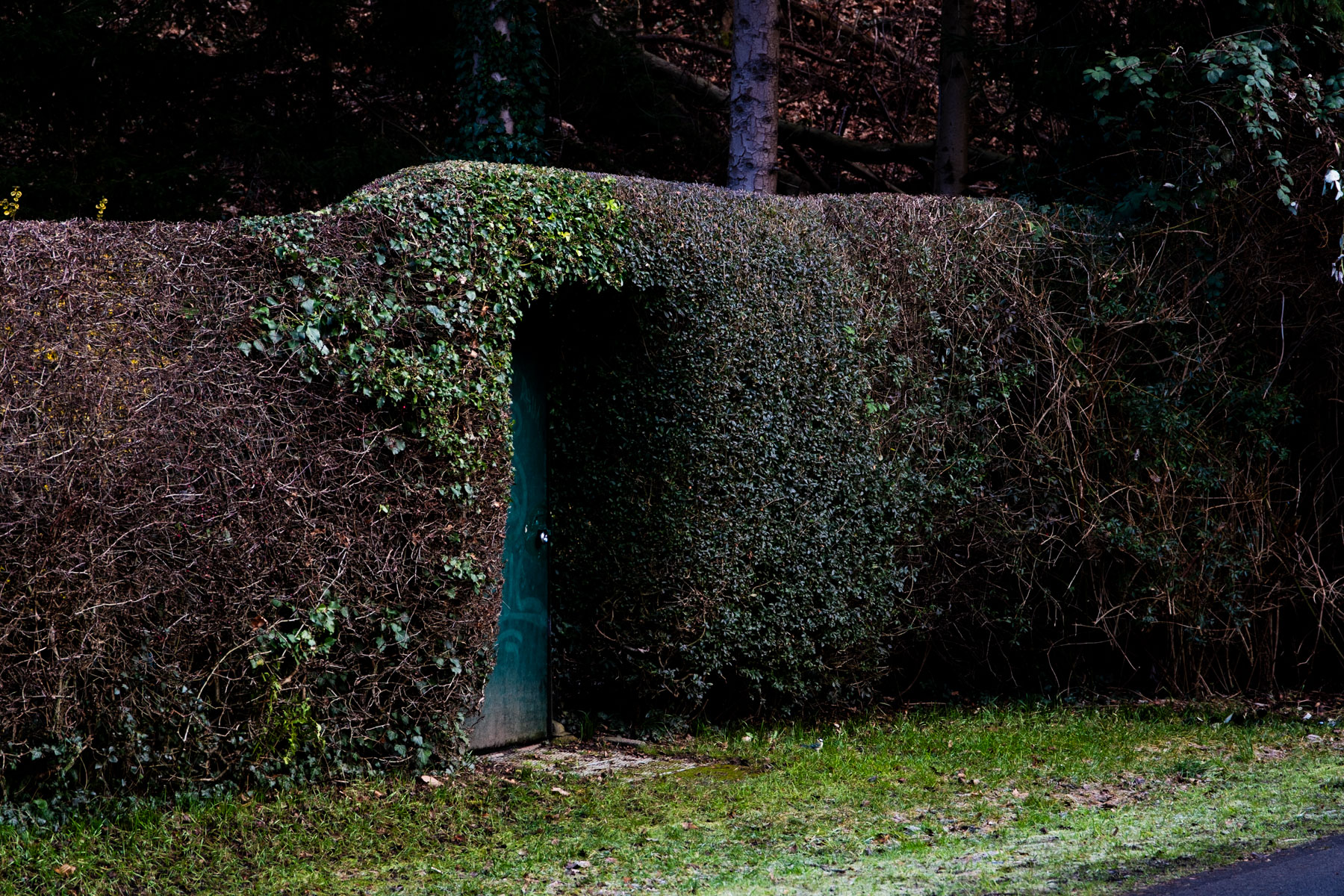 Ein Eingang zu einem Schrebergarten an der Nordbahntrasse
