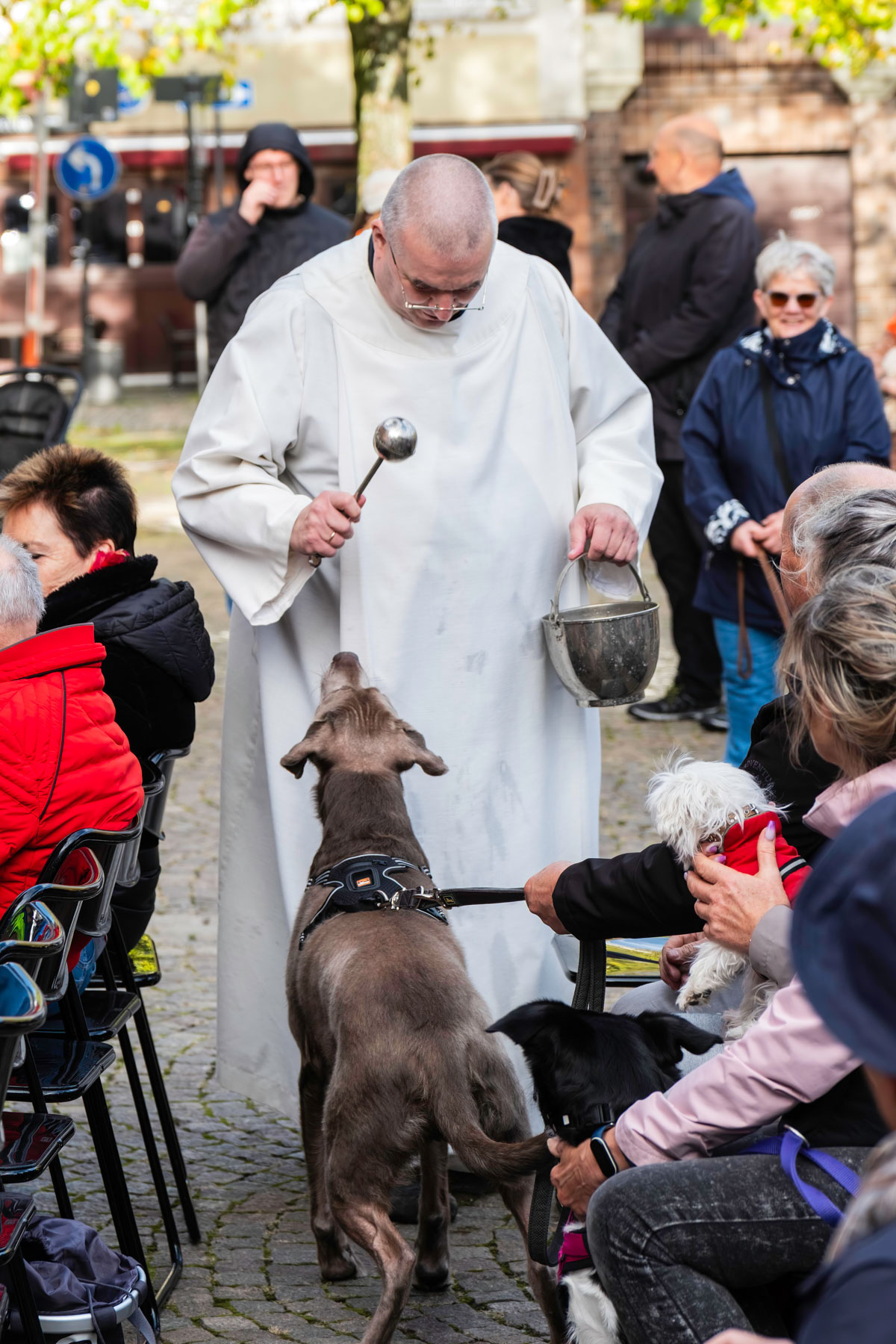 Öffentliche Tiersegnung auf dem Laurentiusplatz in Wuppertal